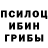 Псилоцибиновые грибы ЛСД _ SHAMS_
