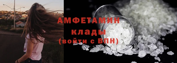 ГАЛЛЮЦИНОГЕННЫЕ ГРИБЫ Пересвет