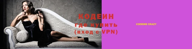 прущие грибы Бронницы