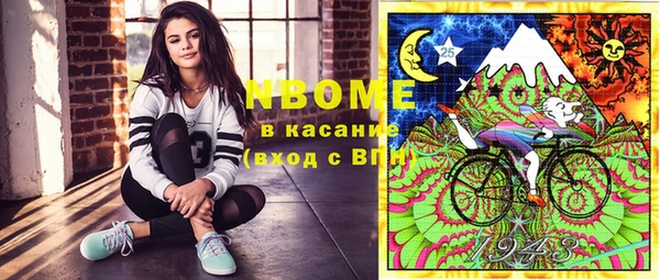 крисы Верея