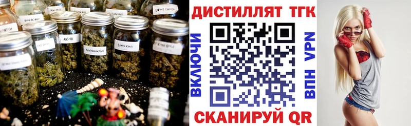 ТГК вейп  hydra рабочий сайт  Выборг 
