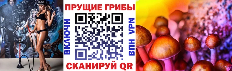 Псилоцибиновые грибы Psilocybe  OMG онион  Выборг 